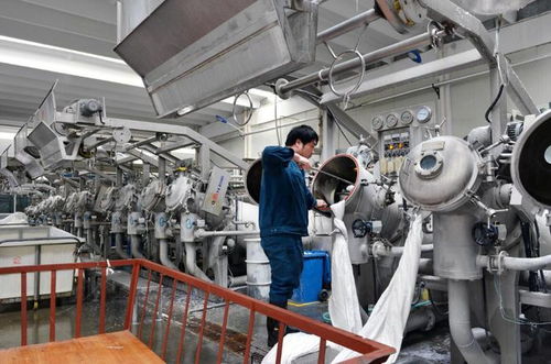 中国停止境外煤电投资，印度“世界工厂”梦碎？