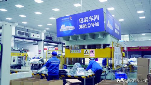 梦百合利润下滑背后的转型突围战\n【惜梦网络 深度观察】