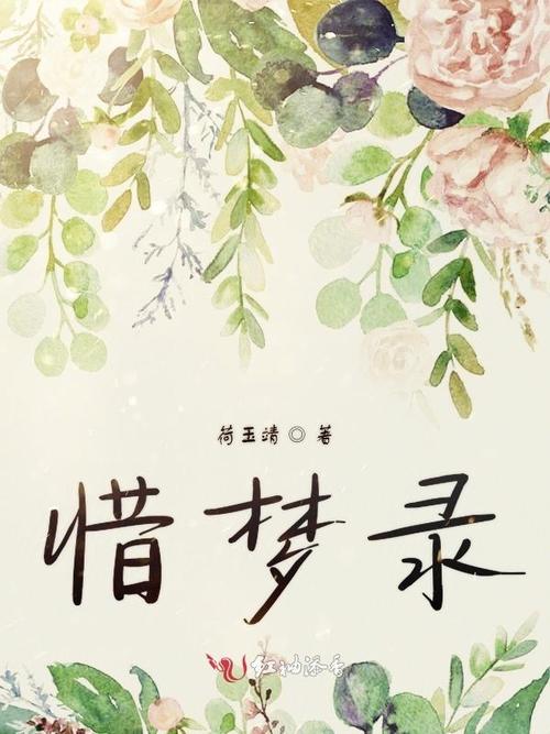 惜梦录