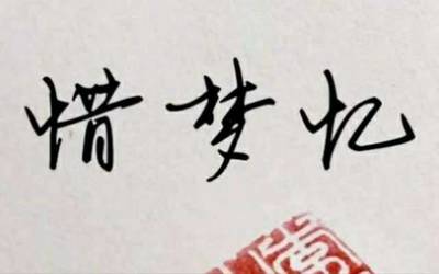 惜梦忆·惜梦网络——数字时代的温柔怀旧